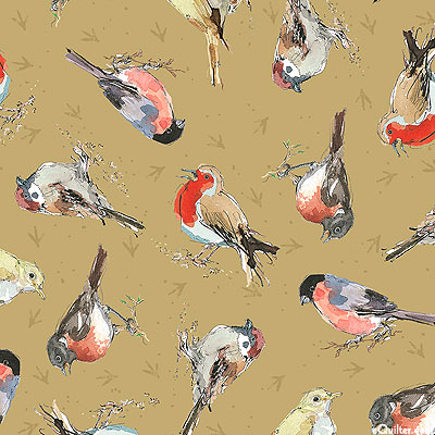 Melody red breasted%20robins%20by%20Quilting%20Treasures