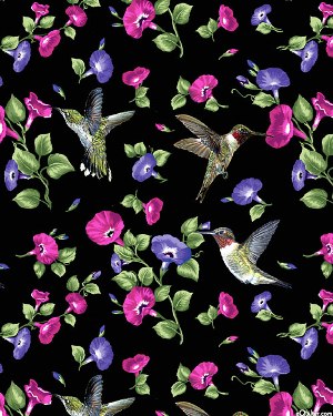 Morning%20Glories%20and%20Hummingbirds