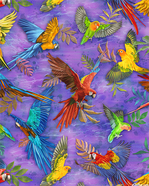 Parrot%20Isle%20Flight